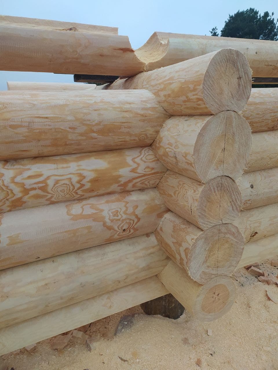 ЗРУБИ будинків та бань під ключ! Шліфування, покраска та конопатка зрубів. Зруб